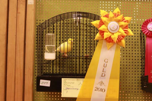 jfkksyd 2010 018